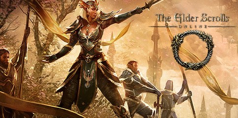 The Elder Scrolls Online, Vídeo Entrevista