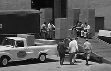 The Real Mccoys - S04E31 Fly Away Home [Full Episode]