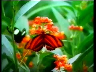 Russian Children Cartoon Allah Miracles 4 4