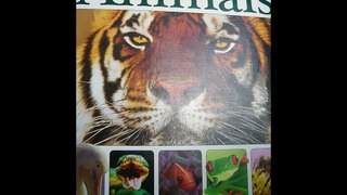 National Geographic Encyclopedia of Animals book