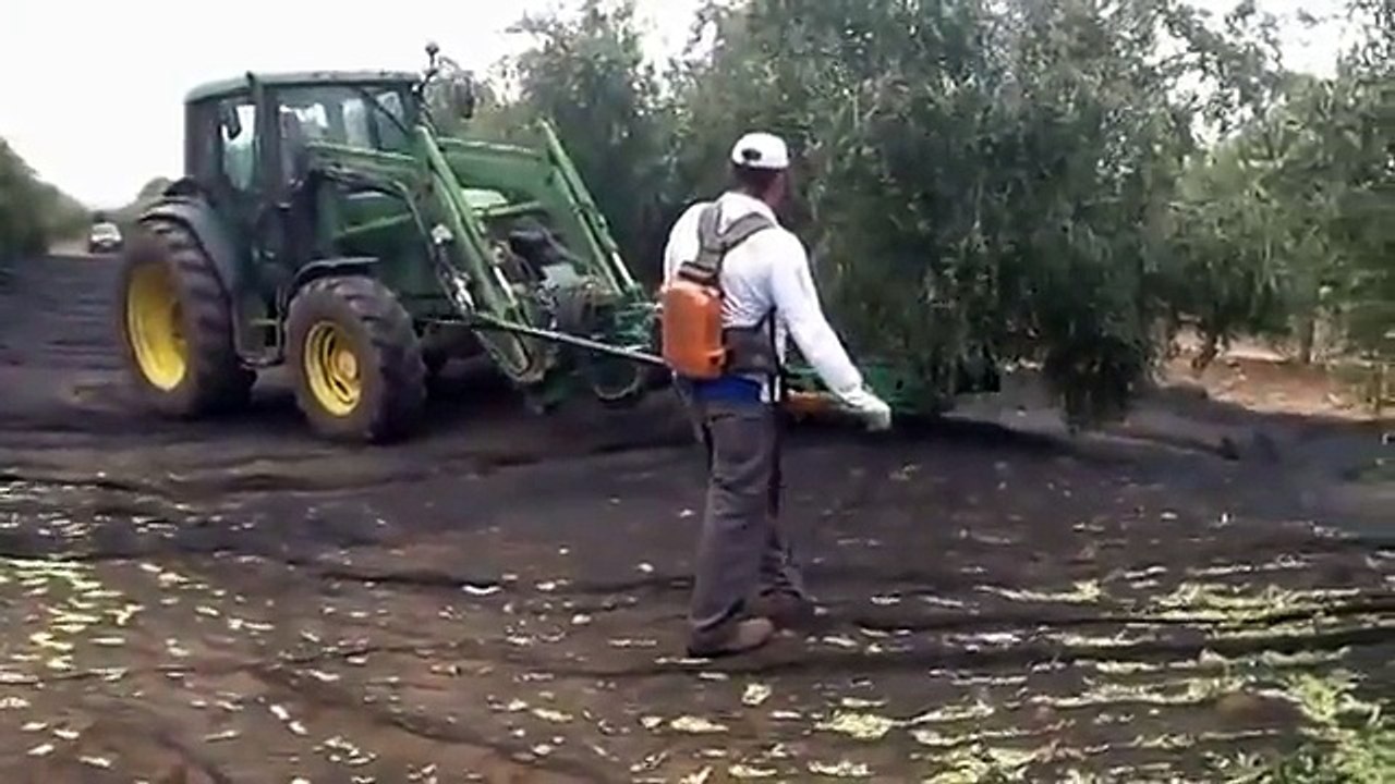 BAUTISTA SANTILLANA VIBRADOR HP-VARIANT-PALA