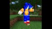 Minecraft Skins Top 20 Sonic The Hedgehog Minecraft Skins