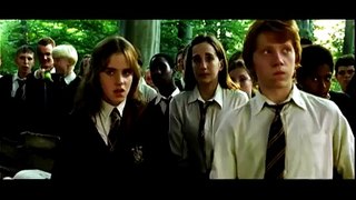Harry Potter: seis películas resumidas en 8 minutos