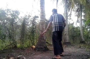 Dubstep dance | beginer | Russian Lullaby