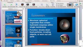 11/8/2013  Cells and Cell Parts- Lysosomes to Plant/Animal Cells