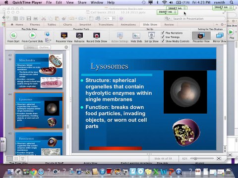 11/8/2013 Cells and Cell Parts- Lysosomes to Plant/Animal Cells