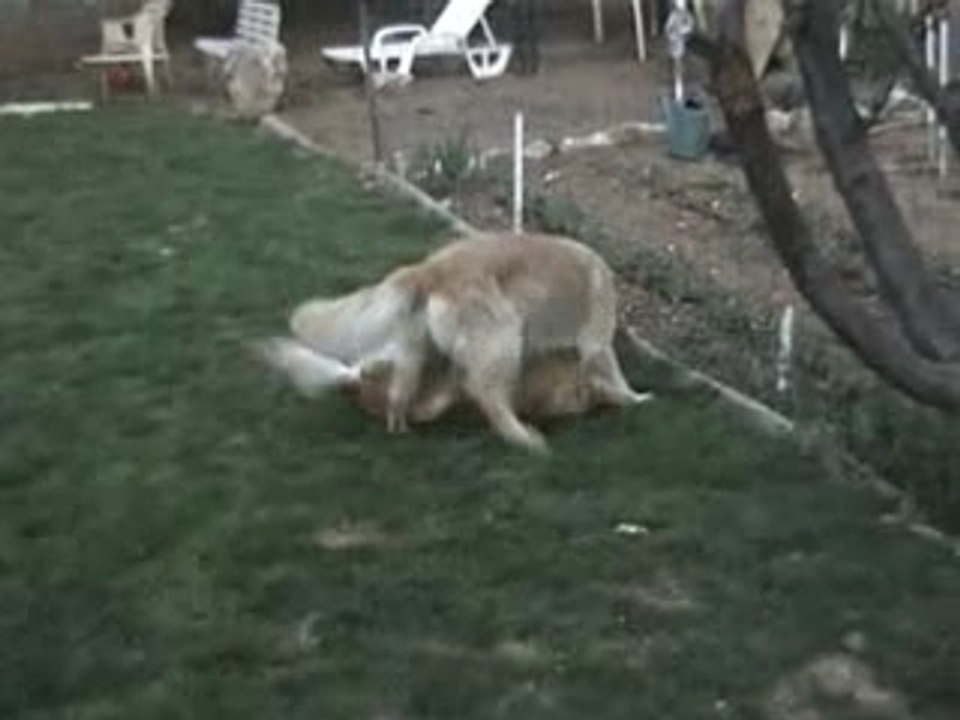 Luky théa avril 2007