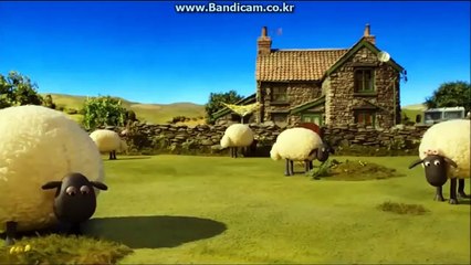 Shaun the Sheep | New Episodes | Disney Channel Korea