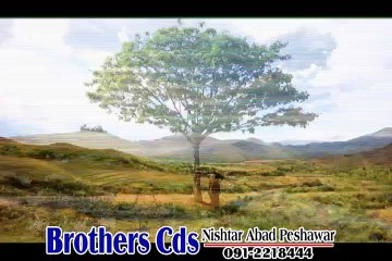 Pashto Film Daagh Hits Part 8