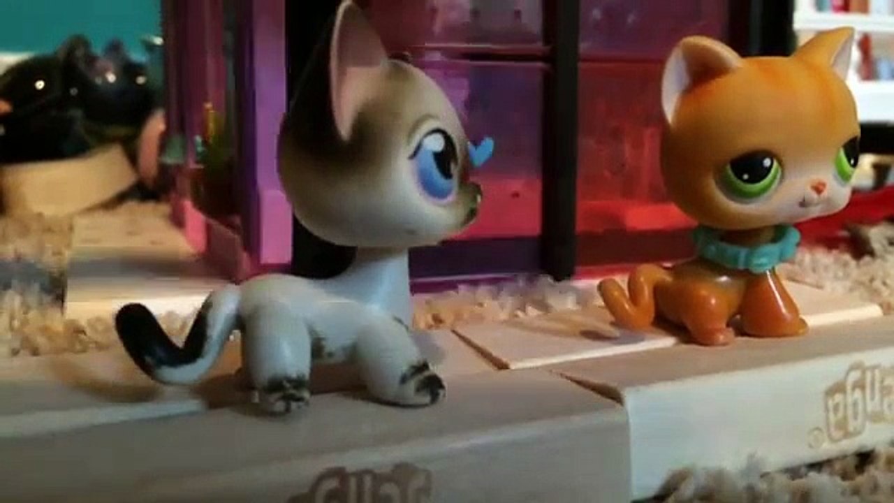 Warrior cats #1