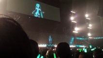 Hatsune Miku concert (Magical Mirai 2015)