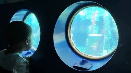 Finding Nemo Submarine Voyage