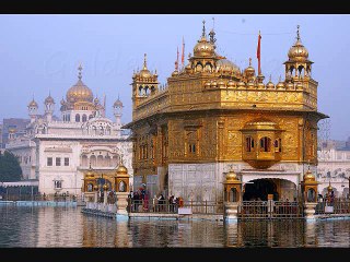 Golden triangle tour packages