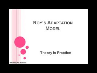 Roy's Adaptation Model: Theory and Practice