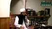 Maulana Tariq Jameel Bayan About Yazeed