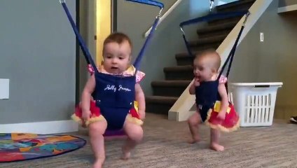 Cutest Thing You Will See All Day