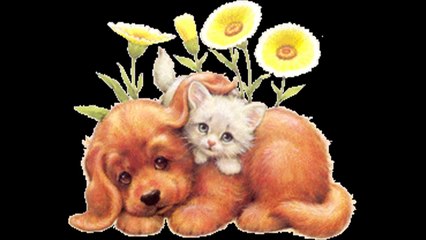 Cartoon Cats and Dogs Together - Multi Funny Cat Video