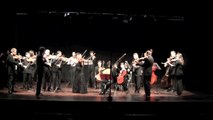 Telemann: Concerto para Viola en Sol maior. Anna Puig, Orquestra Vigo 430