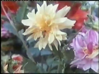 JE TU CHAD GAYO YAARI - DILAN DE SOUDEY - Noor Jahan