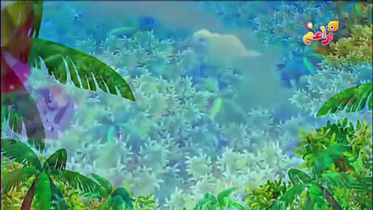 مستكشفو الحيوانات Wild animal baby