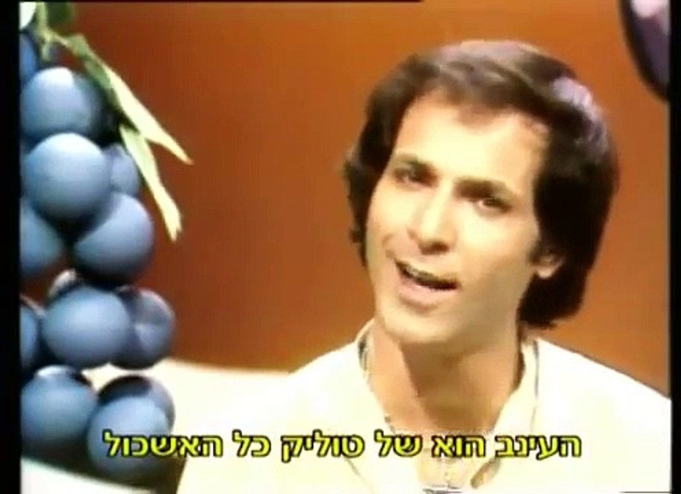 אושיק לוי - טוליק