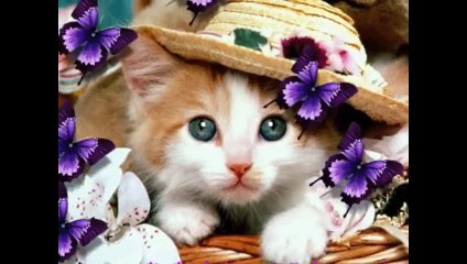 Good Morning Video _ Whatsapp Comedy Video _ Indian Funny Videos Compilation 2015 - Free Download