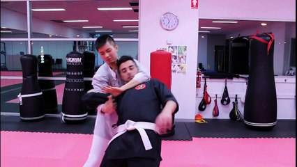 Download Video: Sifu Claudius Chen Introduces Self-Defense techniques and WTsun Jeet Kune Do concept Part 1