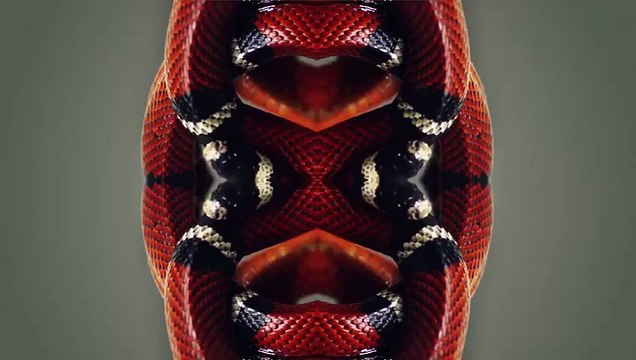 [LOL EXA] L'One - Всё или ничего (Премьера клипа, 2015)