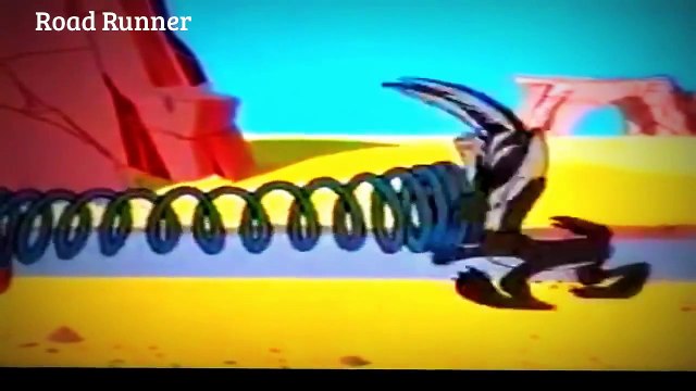 Road Runner and Wile E Coyote BEEP BEEP Classic Cartoon