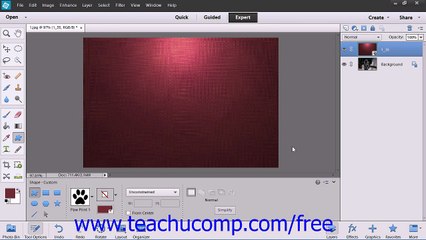 Photoshop Elements 12 Tutorial Raster vs. Vector Adobe Training Lesson 12.1