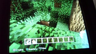 how to make a cat in minecraft on ps3