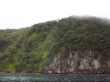 THE REAL JURASSIC PARK (Cocos Island, Costa Rica)