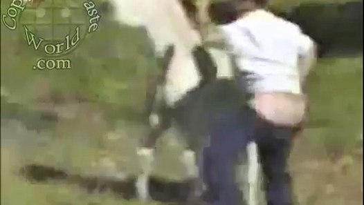 Donkey gets excited with man doing number two - video dailymotion