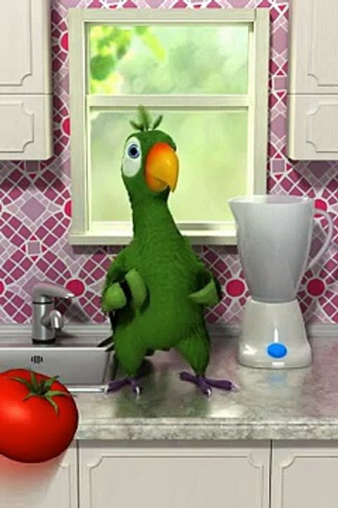 Talking Pierre the Parrot