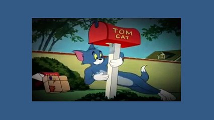 Tom And Jerry Cartoon - Life with Tom