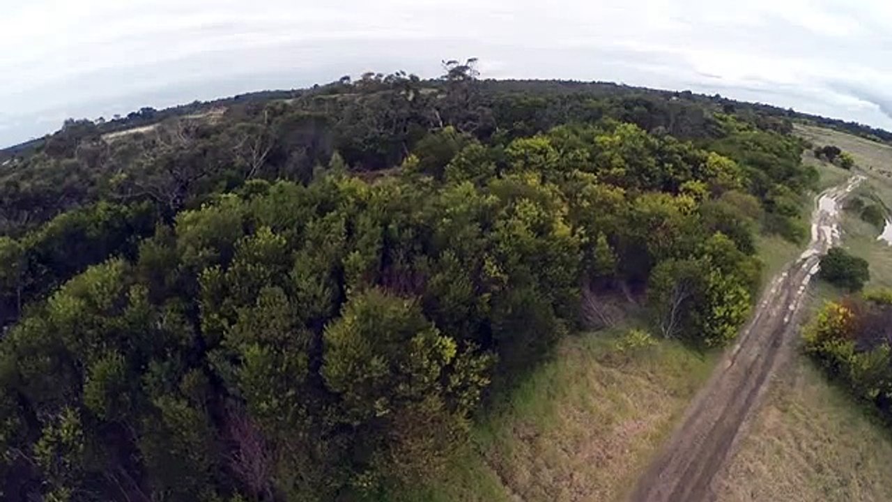 Aguila atrapa - Australia (Eagle is Fine)