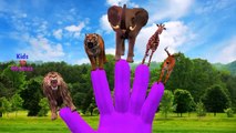 Lion Vs Tiger Finger Family Nursery Rhymes | Elephant Cartoons Finger Family Songs