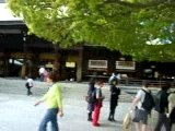 Meiji Shrine - Yoyogi park