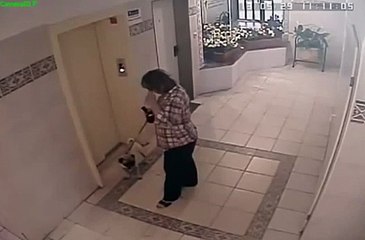 Dog Has Near Death Experience With Elevator   Funny Animals