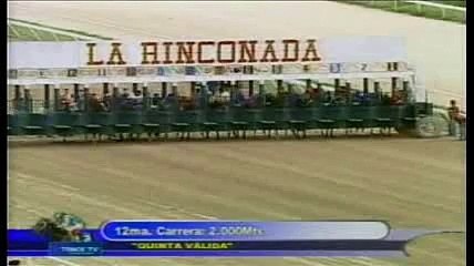 Gala Hípica De Caracas