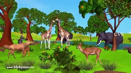 Lion and Rabbet Story in Telugu    3D Animation Panchatantra, Aesop Tales for children
