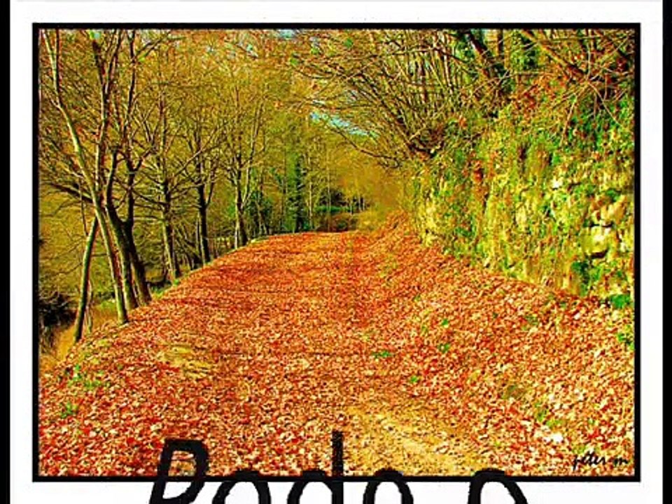 Primavera - Tim Maia