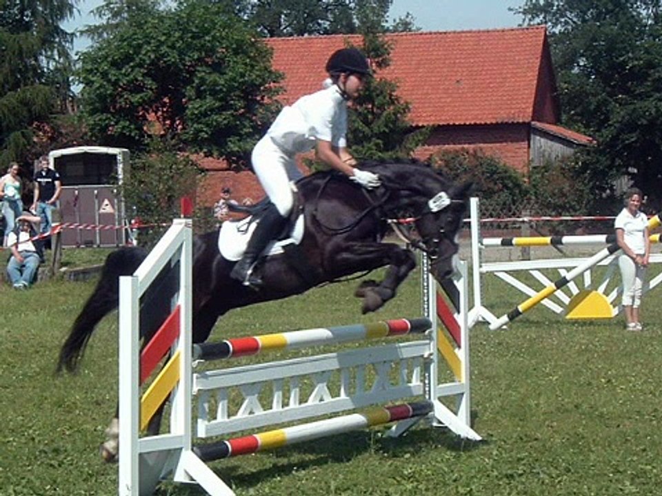 Mein Pony Dorian