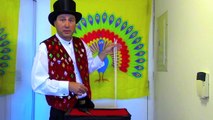 Vincent Entertainer Magic Shows for Children's Birthday Party Toronto