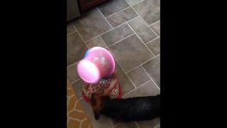 Pink Bucket Head Baby Repeatedly Runs Into The Wall