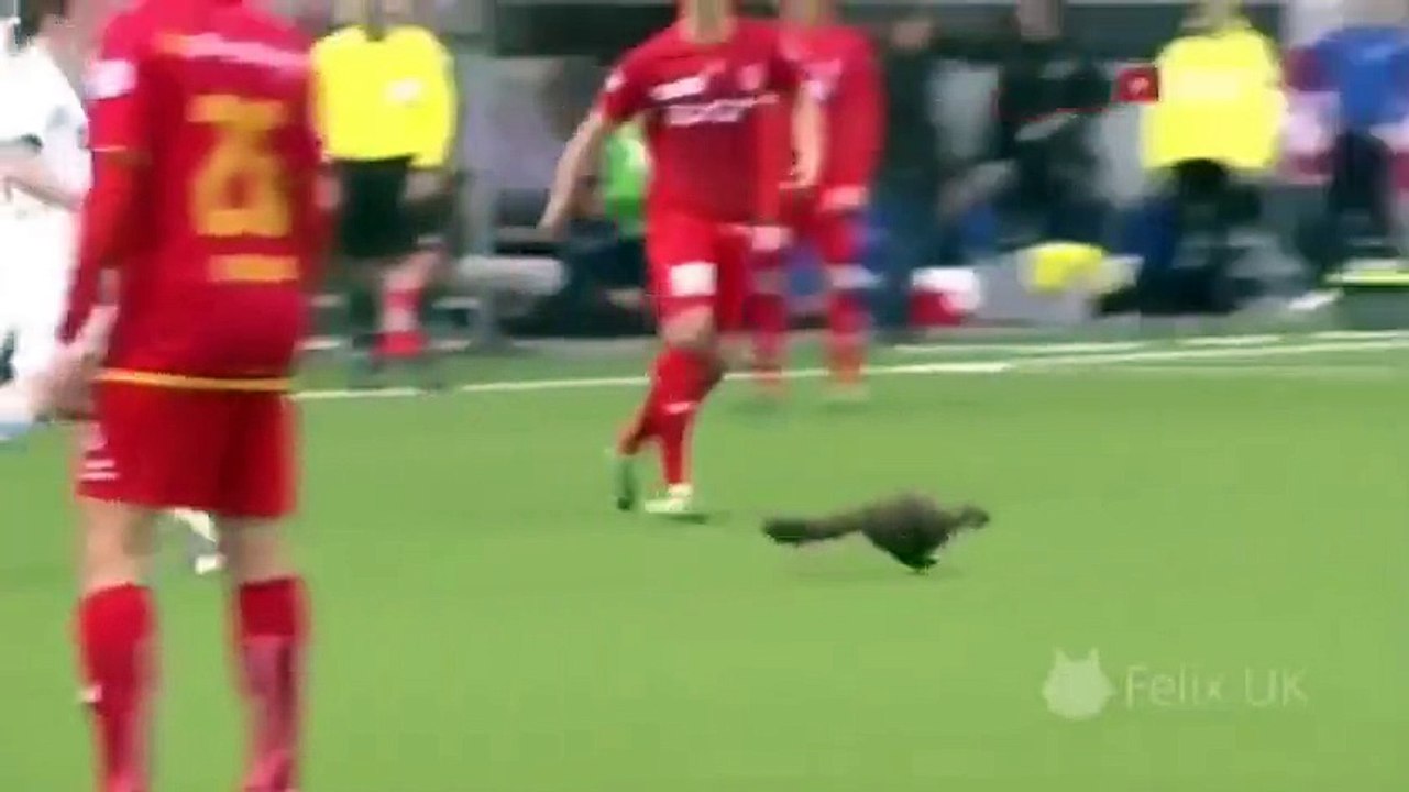 Football  funny