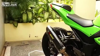 Kawasaki ninja 300 with akrapovic exhaust