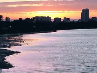 Cat Stevens - Morning Has Broken