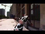 La Vaca Loca - Crazy Cow [Funny Video] El Video Mas Visto Del You Tube
