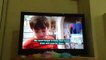 Topsy And Tim - Pet Sitters New Episode 2015